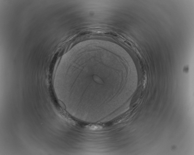 X0000116870512201002021130