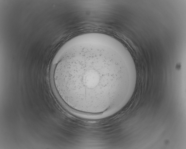X0000116870513201002021130