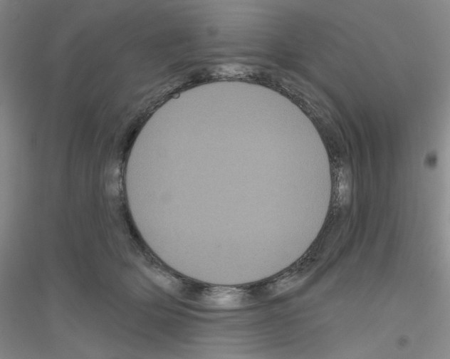X0000116870514201002021130