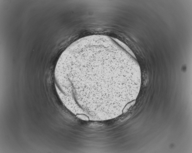 X0000116870515201002021130