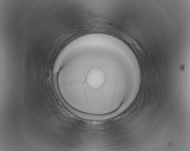 X0000116870517201002021130