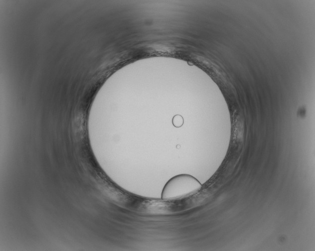X0000116870518201002021130