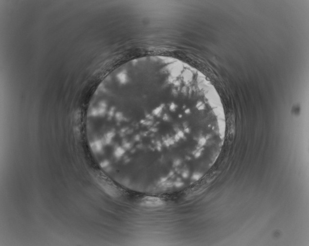 X0000116870519201002021130