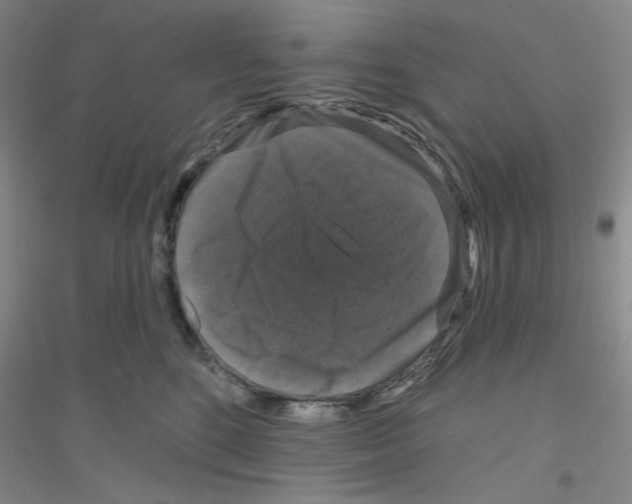 X0000116870520201002021130
