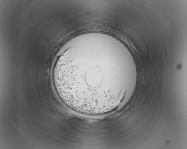 X0000116870521201002021130