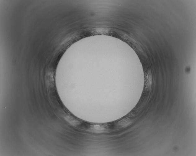 X0000116870522201002021130