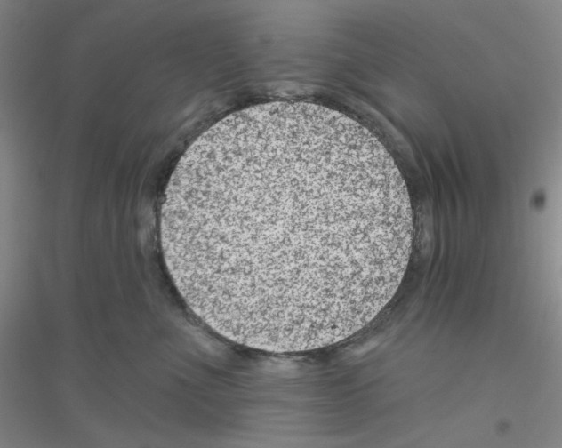 X0000116870523201002021130