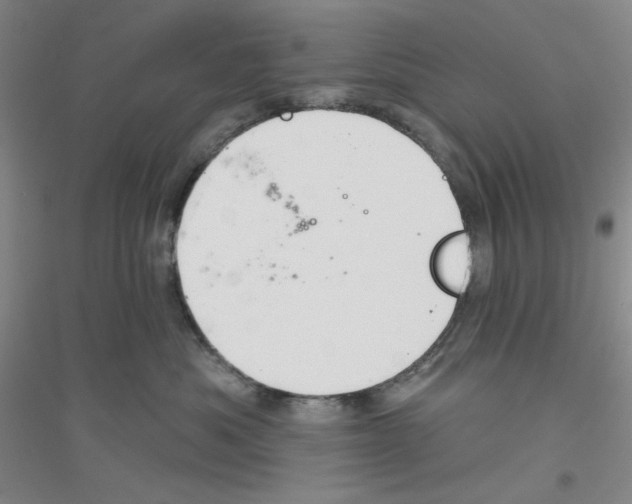 X0000116870525201002021130