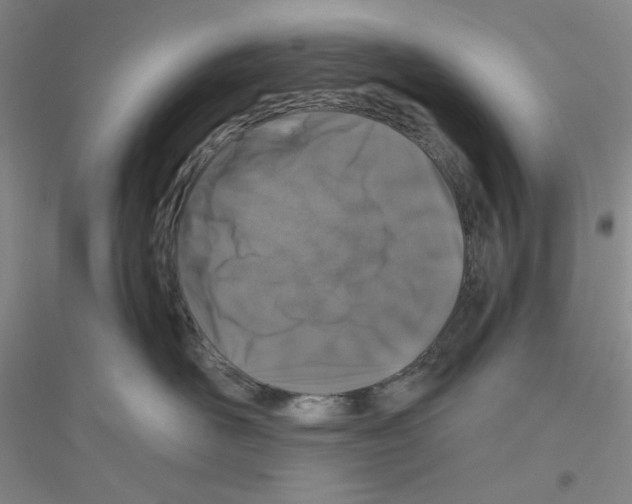 X0000116870526201002021130