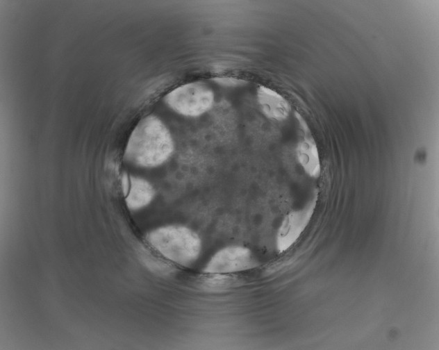 X0000116870527201002021130