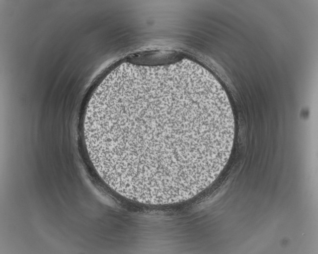 X0000116870530201002021129