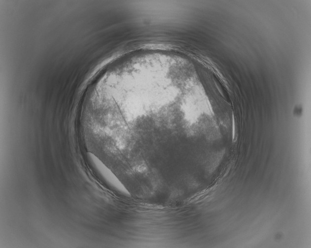 X0000116870531201002021129