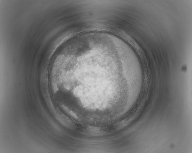 X0000116870534201002021129
