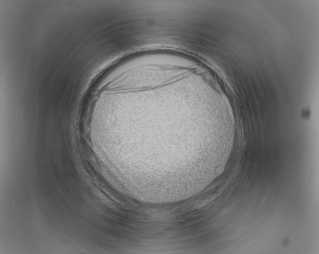 X0000116870535201002021129