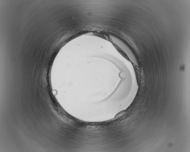 X0000116870538201002021129