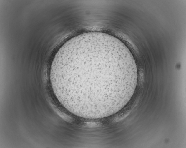 X0000116870541201002021129