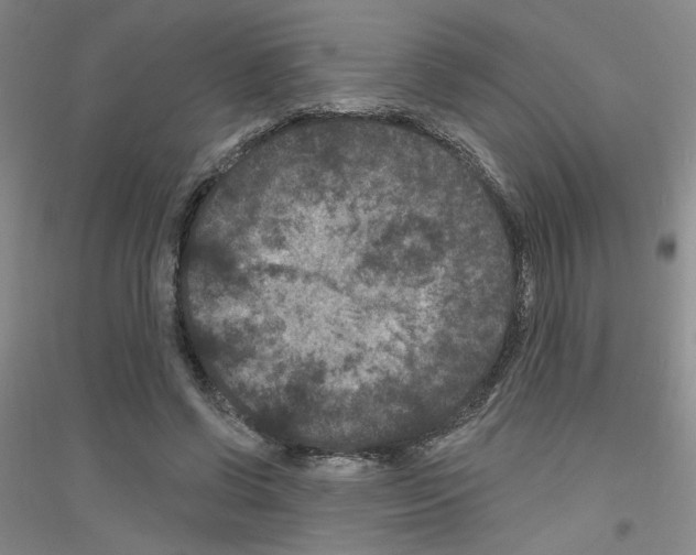 X0000116870542201002021129