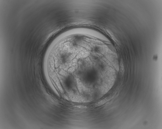 X0000116870543201002021129