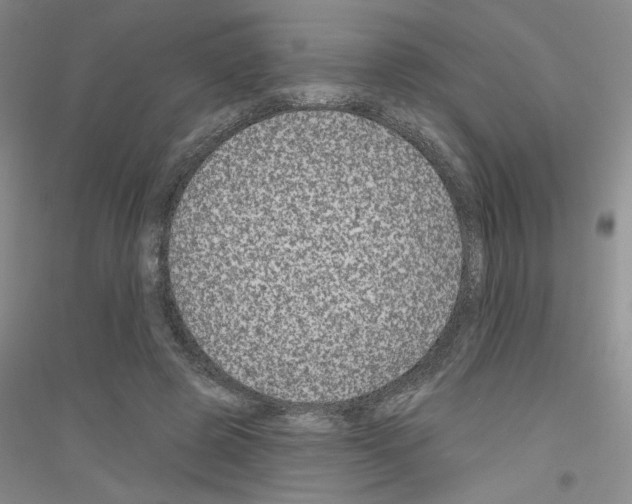 X0000116870545201002021129