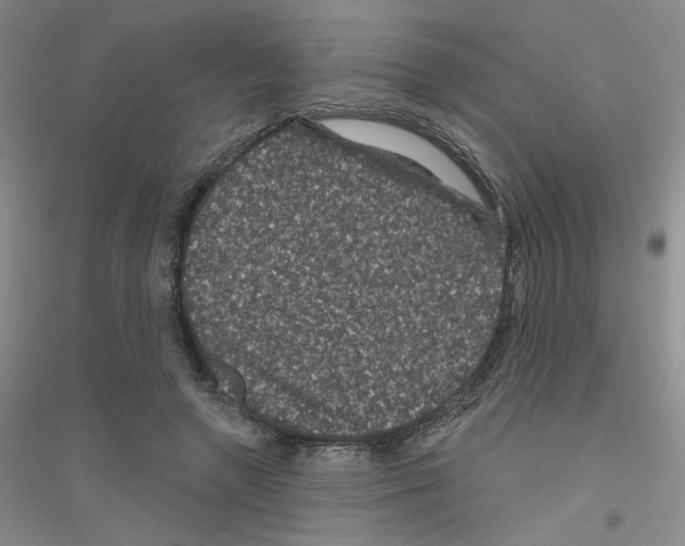 X0000116870546201002021129