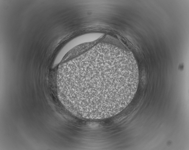 X0000116870547201002021129