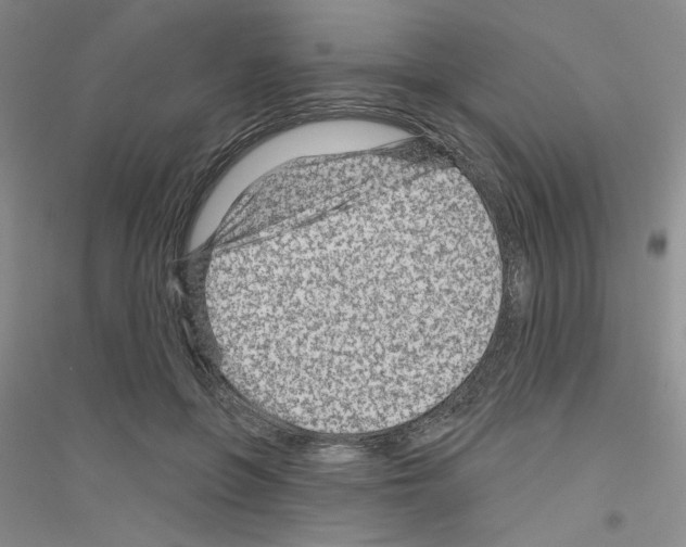 X0000116870551201002021129