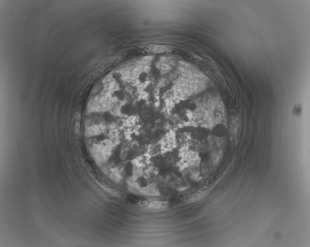 X0000116870553201002021129