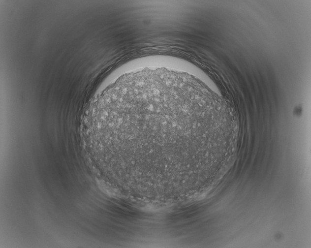 X0000116870555201002021129