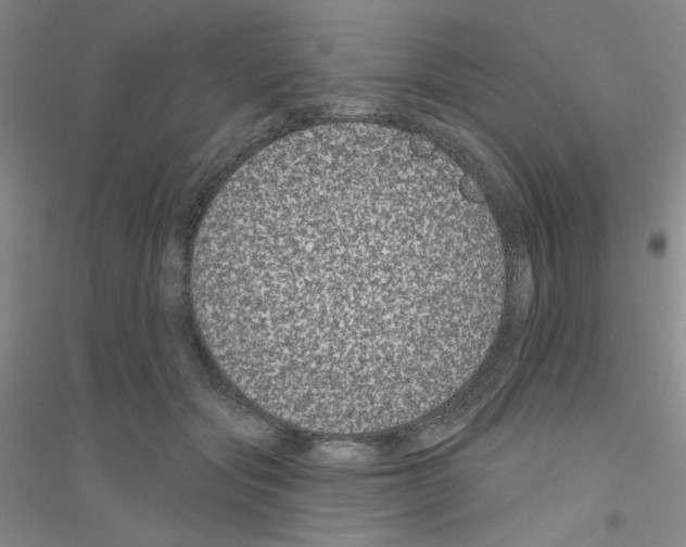 X0000116870557201002021129