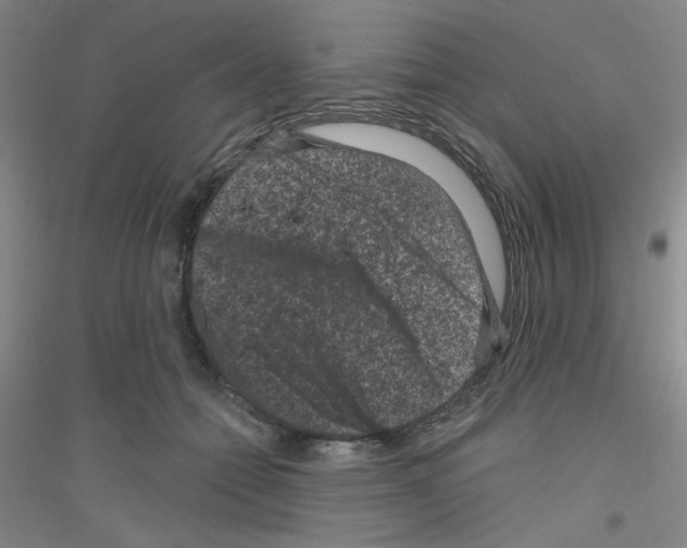 X0000116870558201002021129