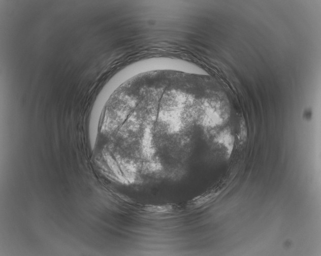 X0000116870559201002021129