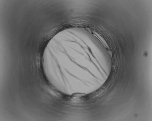 X0000116870562201002021129