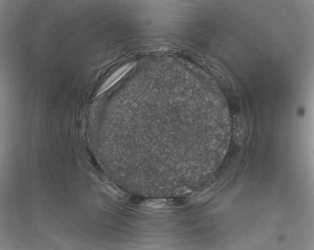X0000116870563201002021129