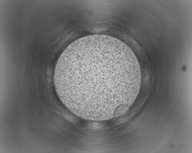 X0000116870565201002021129
