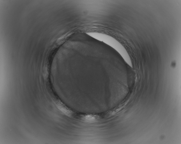 X0000116870566201002021129