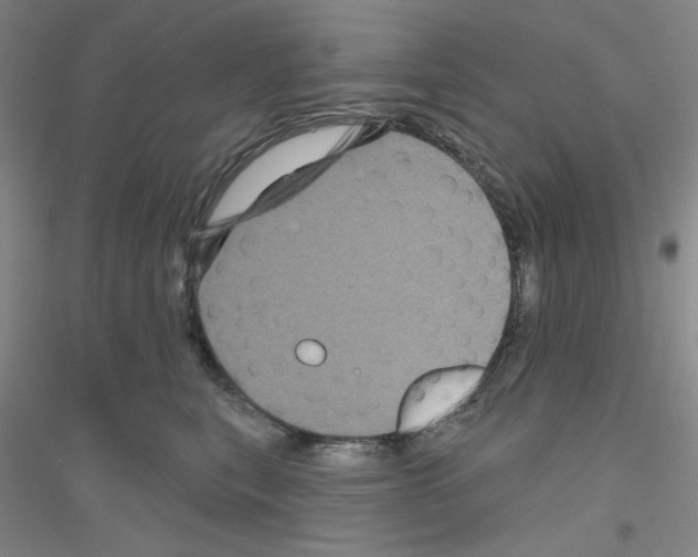 X0000116870567201002021129