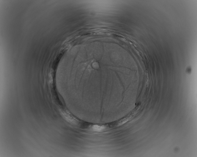 X0000116870570201002021130