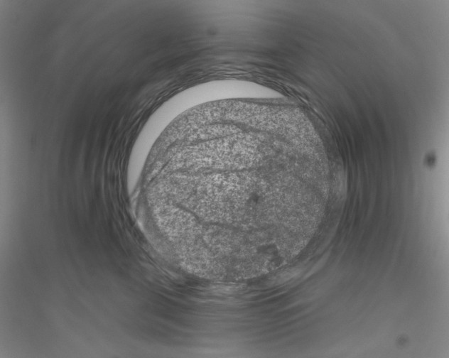 X0000116870571201002021130