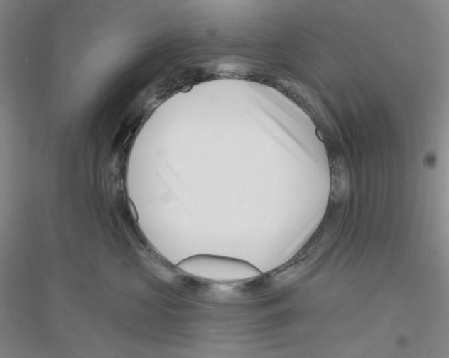 X0000116870573201002021130