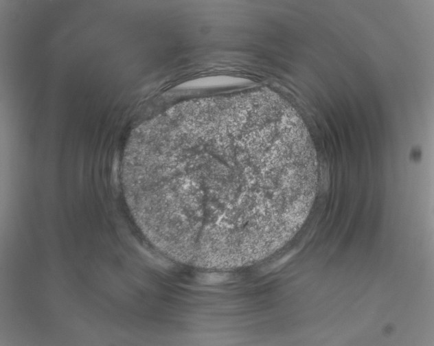 X0000116870575201002021130