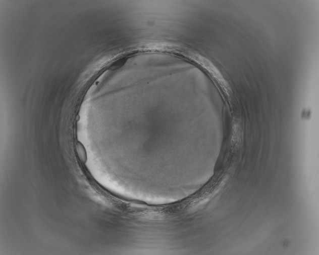 X0000116870577201002021129