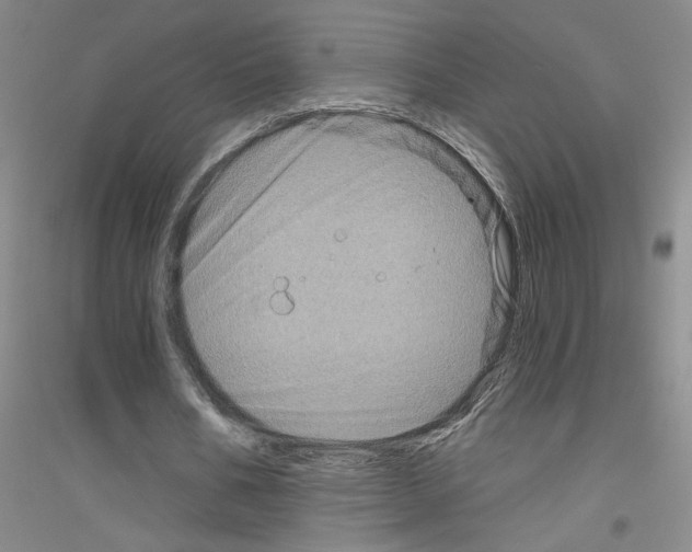X0000116870578201002021129