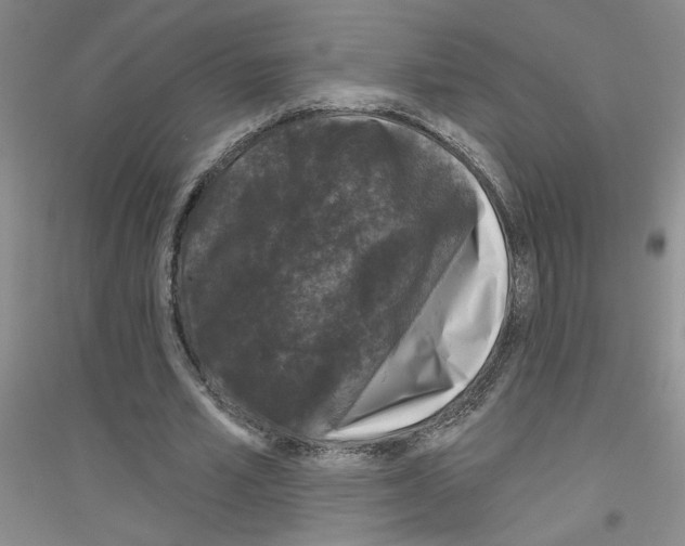 X0000116870581201002021129
