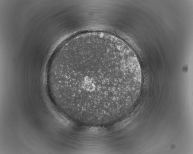 X0000116870584201002021129