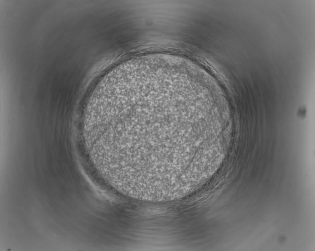 X0000116870586201002021129