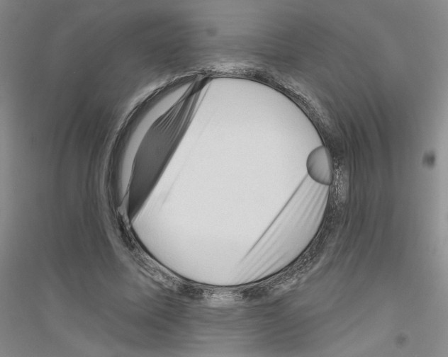 X0000116870587201002021129
