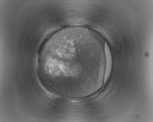 X0000116870590201002021129
