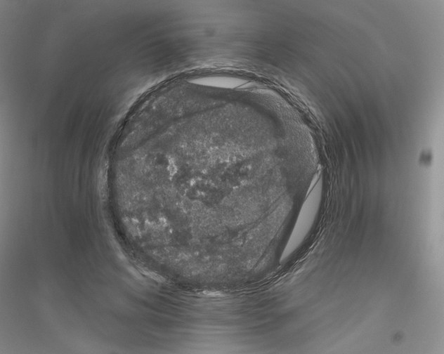 X0000116870592201002021129