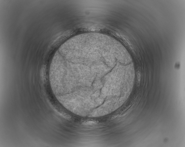 X0000116870594201002021129