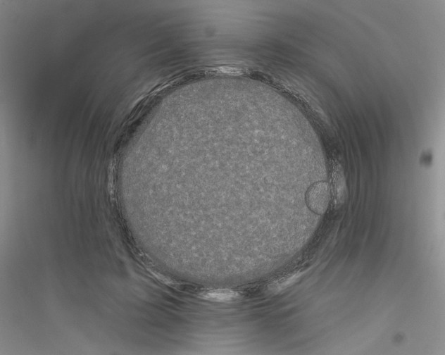 X0000116870595201002021129